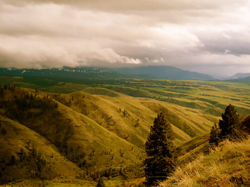 a valley covered in green pastures