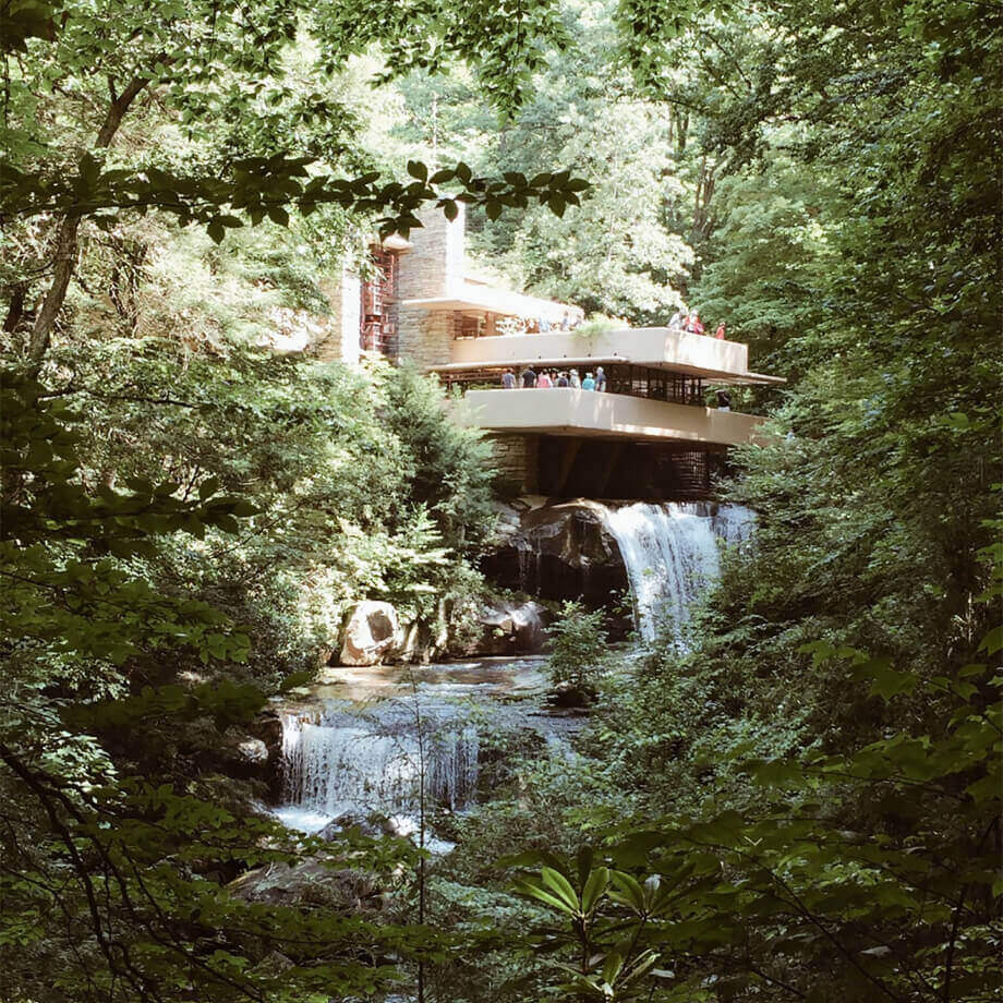 A small waterfall in the middle of a forest