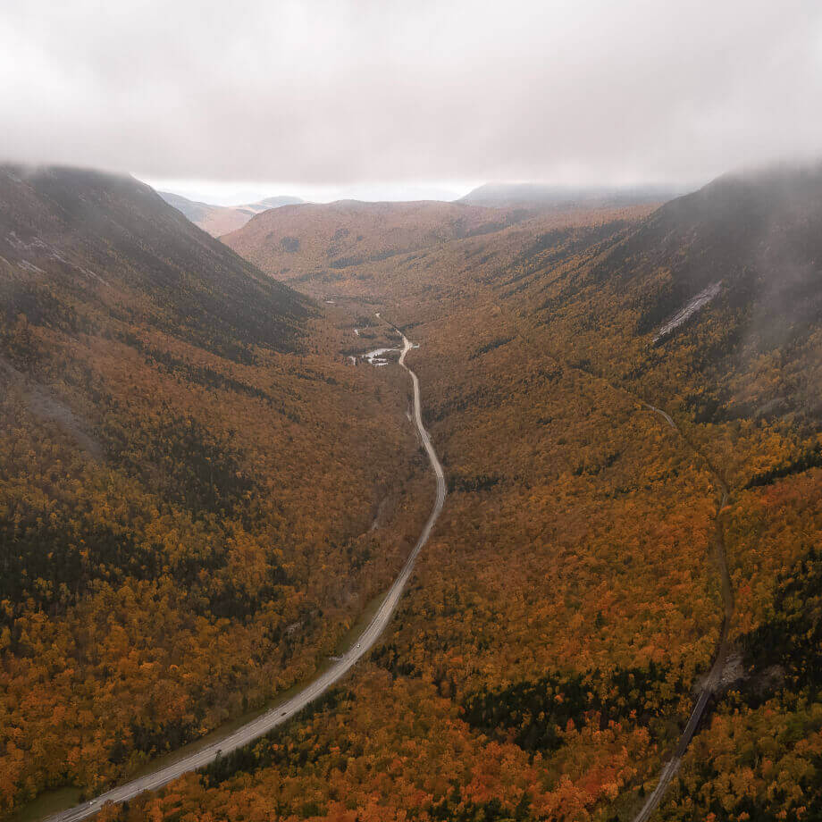 a long road crossing a forest valley